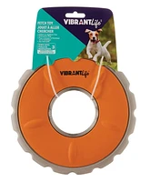 VibrantLife Active Disc