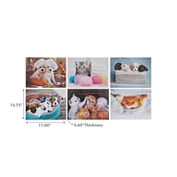 Canvas Wall Art Playful Pets  - Set of 6