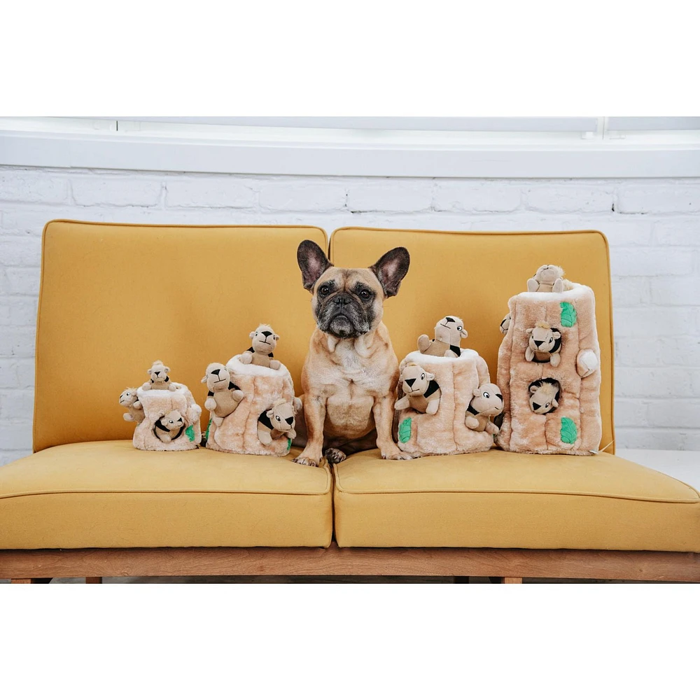 Outward Hound Jouet Pour Chien Casse-Tête Cacher L'Écureuil En Peluche Peluche Engageante
