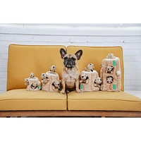 Outward Hound Jouet Pour Chien Casse-Tête Cacher L'Écureuil En Peluche Peluche Engageante