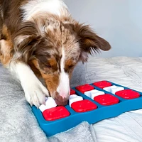 Nina Ottosson De Outward Hound Jouet Pour Chien Casse-Tête De Briques Interactif À Gâteries Casse-Tête Engageant