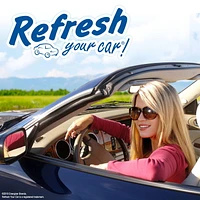 Refresh Your Car! Auto Vent Sticks (Lightning Bolt/Ice Storm Duel Scent, Pack of 6), Auto Vent Sticks (Lightning Bolt/Ice Storm Duel Scent Pack of 6)