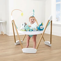 Evenflo ExerSaucer Woodland Wonder Frame Jumper