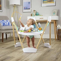 Evenflo ExerSaucer Woodland Wonder Frame Jumper