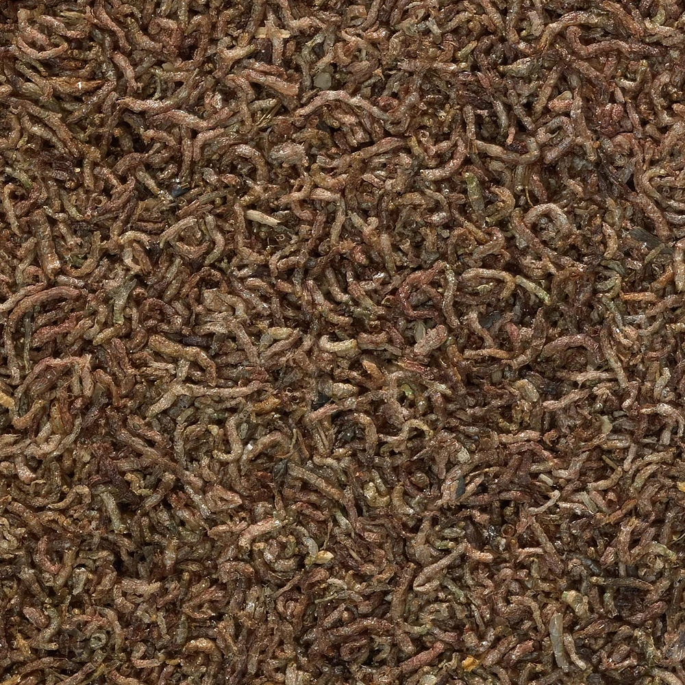Tetra BloodWorms nourriture lyophilisée Pour une forme et une énergie!