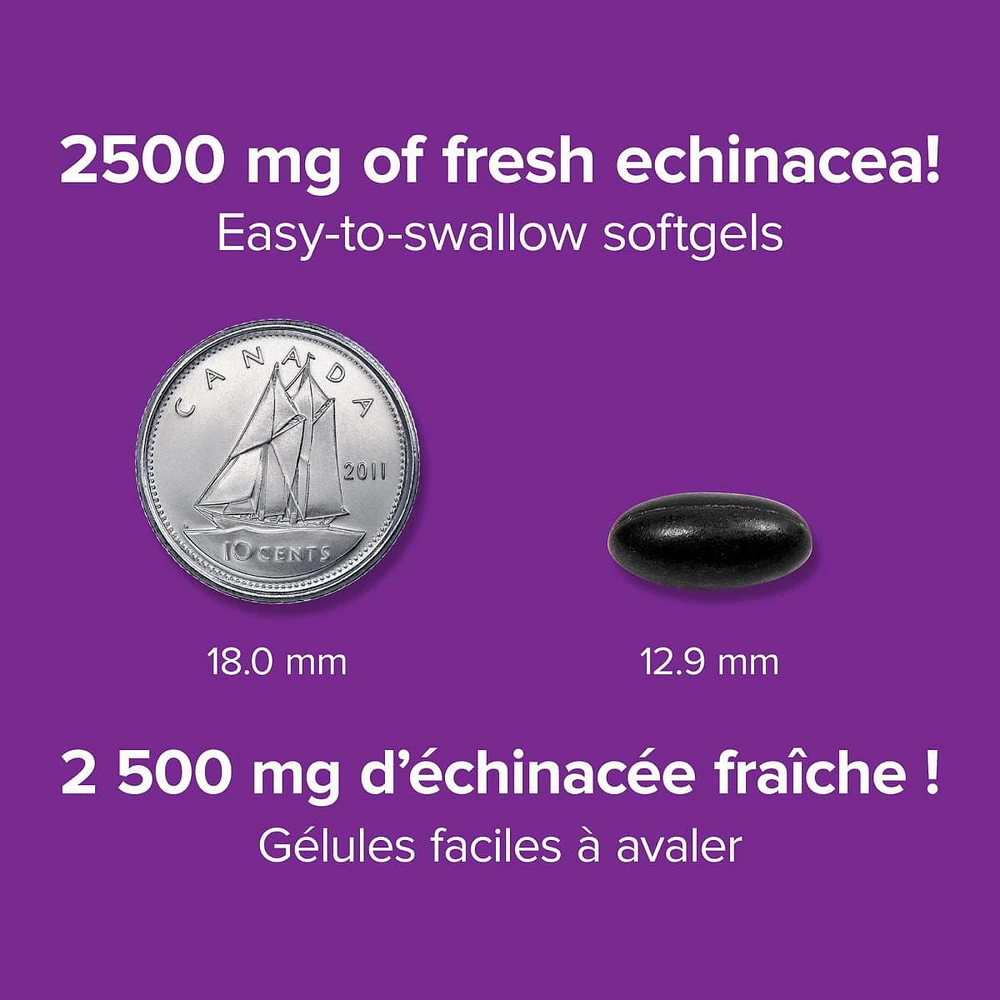 Webber Naturals® Echinamax® Echinacea Softgels