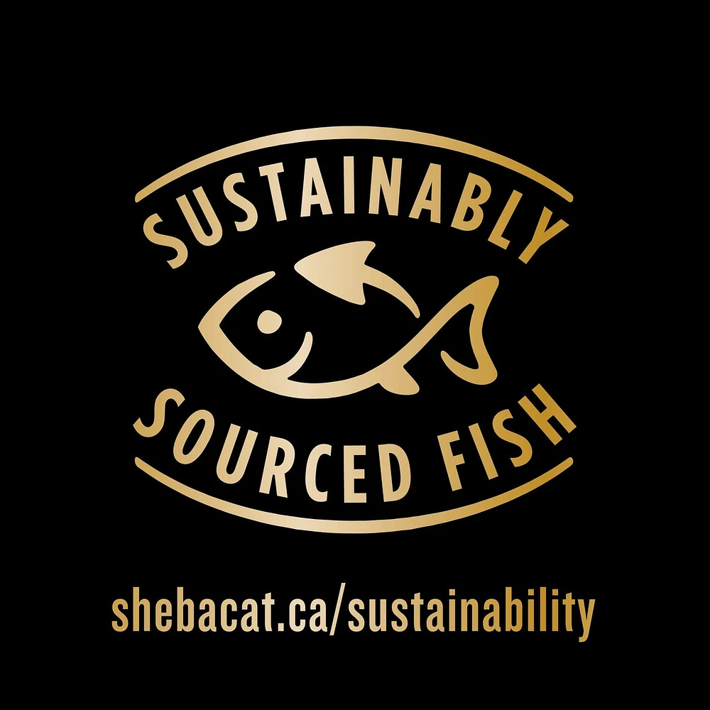 Sheba Bistro Perfect Portions Salmon & Tuna Adult Wet Cat Food Paté, 75g