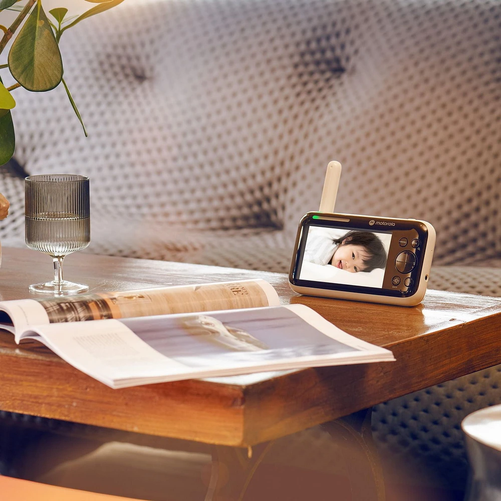 Moniteur bébé Motorola PIP1610 Connect Wi-Fi HD motorisé - Blanc