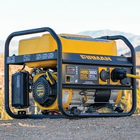 FIRMAN Power Equipment P03601 4550 Watt Portable Performance Generator