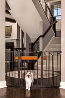 Carlson Pet Products Extra Wide Walk-Thru Gate