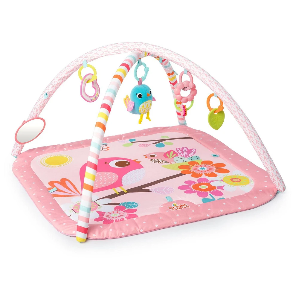 Bright Starts Birds And Blooms Activity Gym