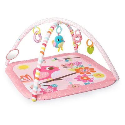 Tapis d'activités Birds and Blooms Activity Gym de Bright Starts