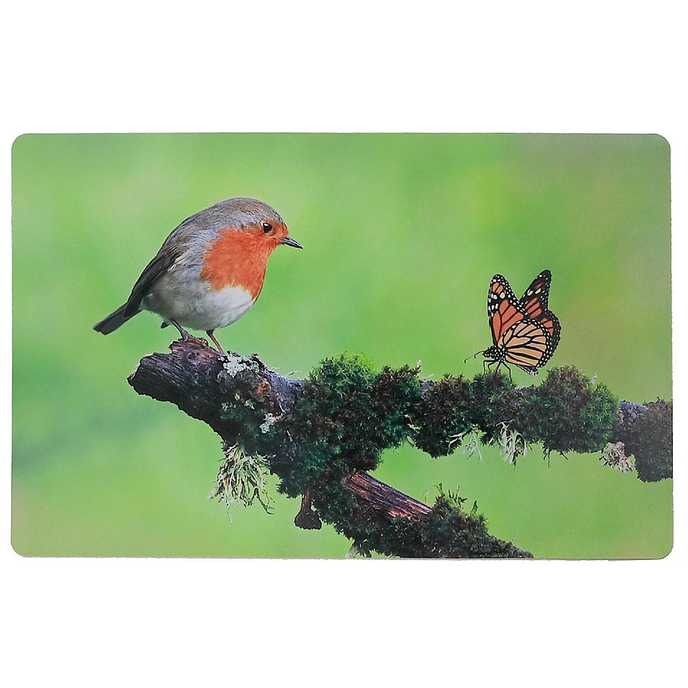 Plastic Placemat Robin And Monarch 12 X 18 - Set of 12