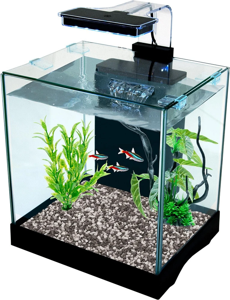 Penn-Plax Aquarium de bureau