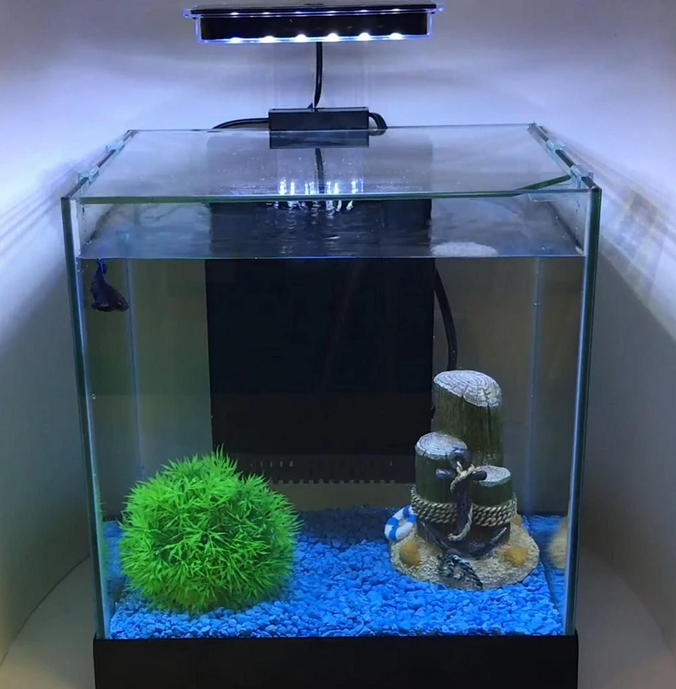 Penn-Plax Aquarium de bureau