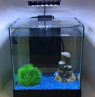 Penn-Plax Aquarium de bureau