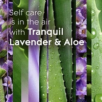 Glade Plugins® Air Freshener Oil Refill, Tranquil Lavender & Aloe