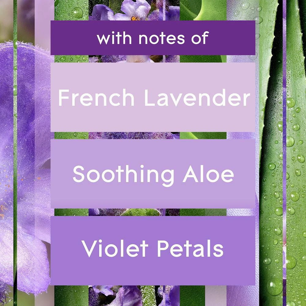Glade Plugins® Air Freshener Oil Refill, Tranquil Lavender & Aloe