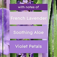Glade Plugins® Air Freshener Oil Refill, Tranquil Lavender & Aloe