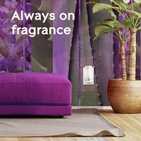 Glade Plugins® Air Freshener Oil Refill, Tranquil Lavender & Aloe