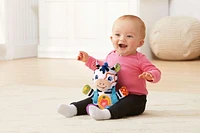 VTech Lights & Stripes Zebra™ - English Version