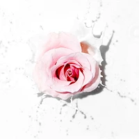 Shampooing hydratation amplifiée miracle Pantene Nutrient Blends avec eau de rose pour les cheveux secs, sans sulfate 285 ml