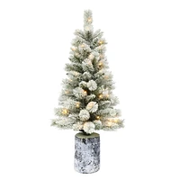 Holiday Time 3.5' Pre-lit Flocked Northern Fir Porch Tree, Green