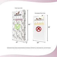 Dream On Me Endless Roses Crib and Toddler Mattress
