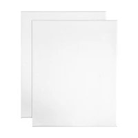 HELLO HOBBY STRETCHED CANVASES 2 PACK 8 in. x 10 in. EACH