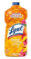 LYSOL® MULTI SURFACE CLEANER POURABLE - Brand New Day Mango Hibiscus 1.2L, Lysol All-Purpose Cleaner Pourable