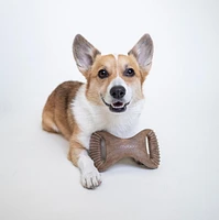 Lumabone Bacon-Flavored Dental Dog Chew Toy, Medium, Durable dog chew toy