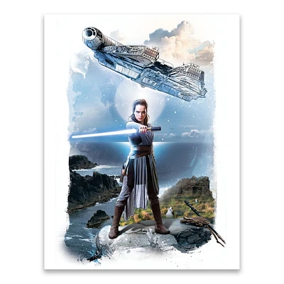 Artissimo Designs Battle Rey With Falcon Printed Canvas - 6.5W x 8.5H x .5D