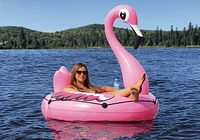 Pathfinder Flamingo Float