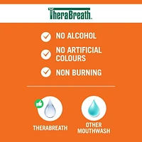 TheraBreath Fresh Breath Mouthwash, Icy Mint, Alcohol-Free, 473 ml, 473 mL