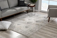 Rug Branch Silvia Collection Modern Distressed Area Rug