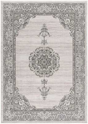 Rug Branch Silvia Collection Modern Oriental Area Rug