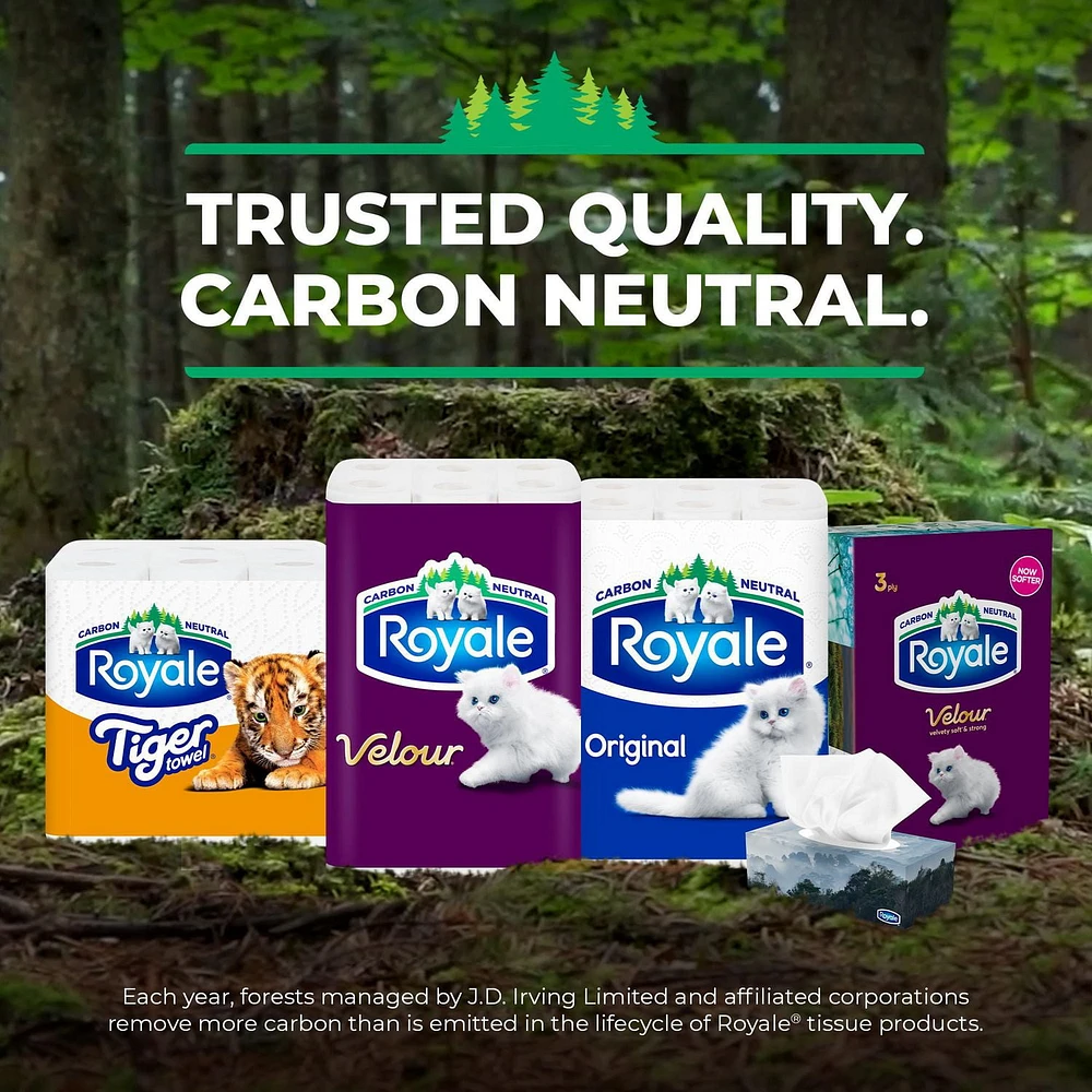 Royale Original papier hygiénique, 24 équivalant à 48 rouleaux 2-ép., 242 feuilles /roul