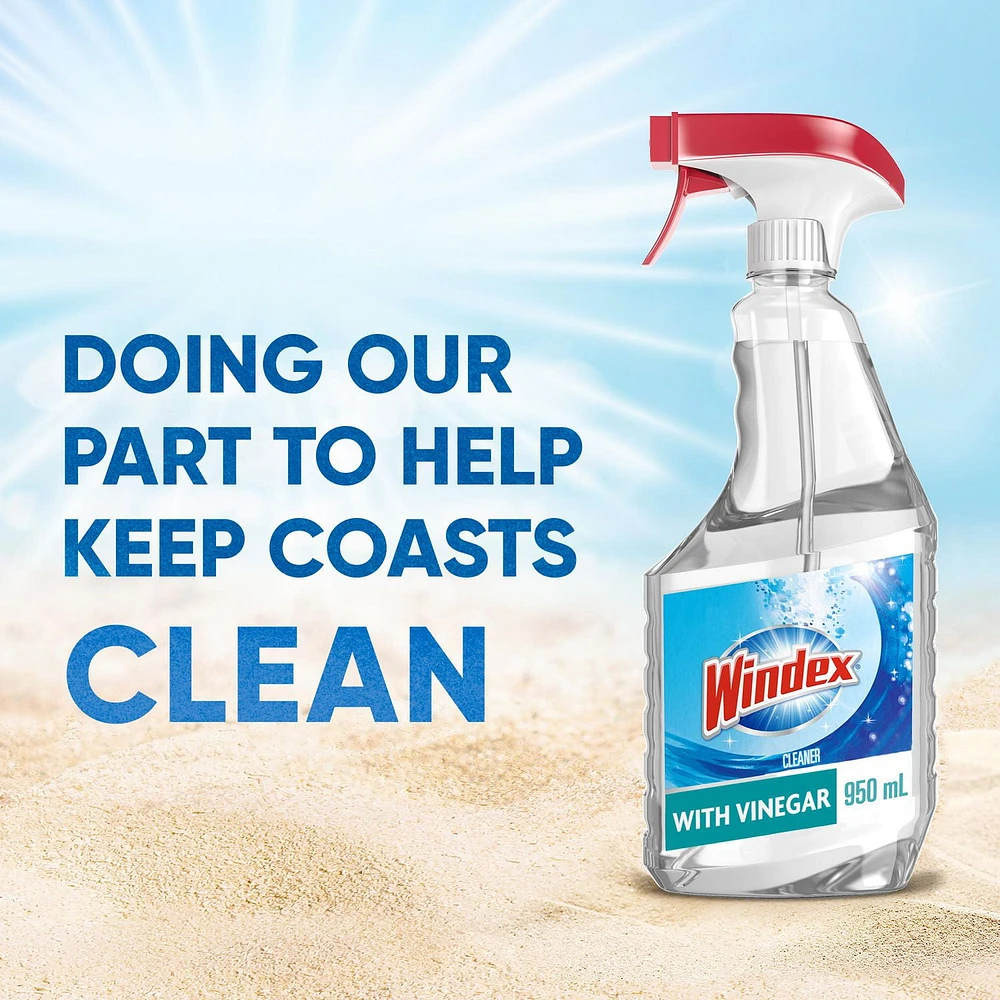 Windex® Multi-surface Cleaner with Vinegar, 950mL