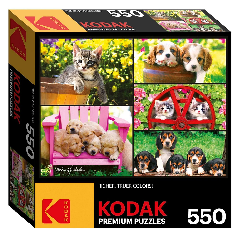 Kodak 550pc Puzzle - Chiots et chatons (Anglais seulement)