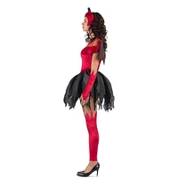 Adult Premium She Devil Costume