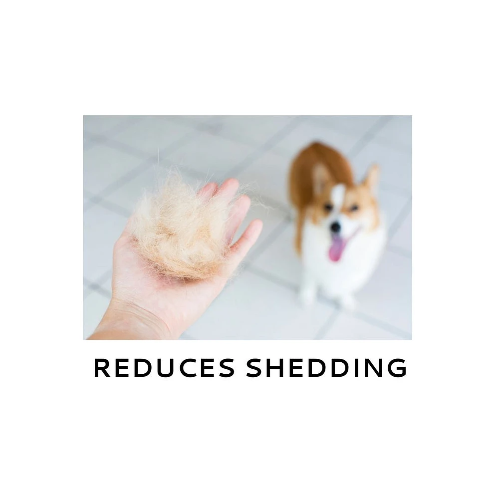 Shampooing pour le contrôle de la perte de poils pour chiens Wahl  - 700ml Contrôle la perte des poils