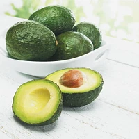 Avocado, Pack of 5