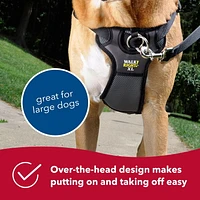 Coastal Pet Products Black Walk Right! Front-Connect Padded Dog Harness