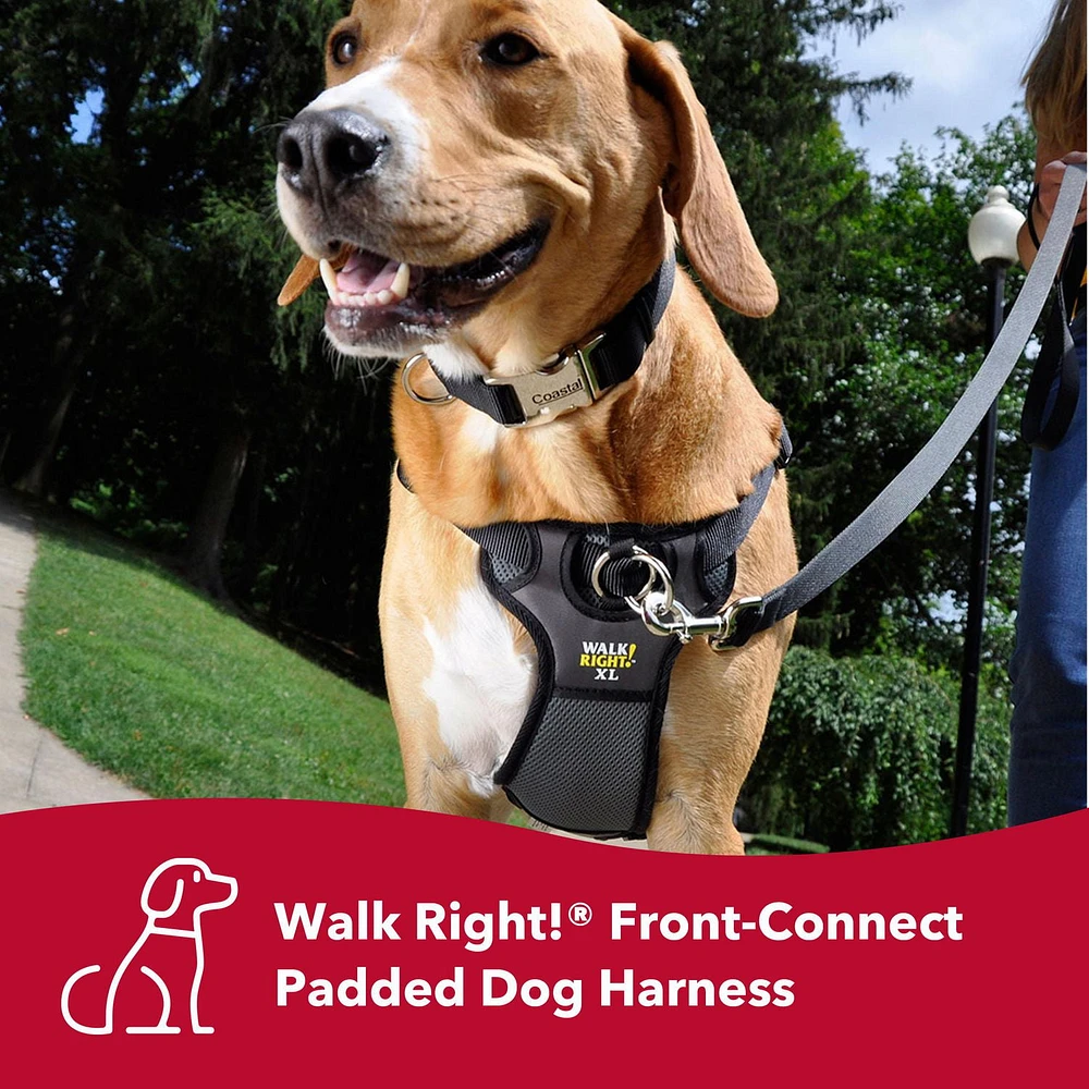 Coastal Walk Right!® Harnais pour chien rembourré à connexion frontale, noir