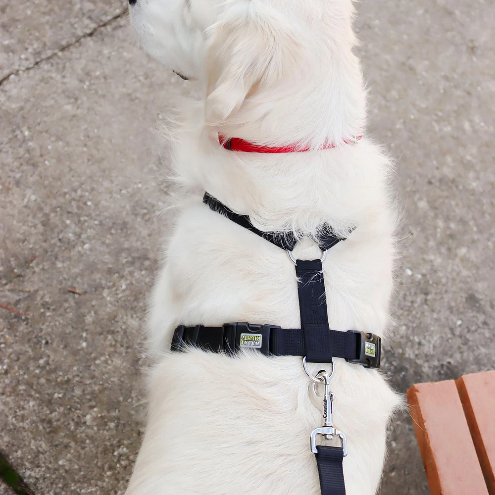 Coastal Walk Right!® Harnais pour chien rembourré à connexion frontale, noir