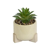 hometrends Yaxley Faux Succulent in Tan Pot