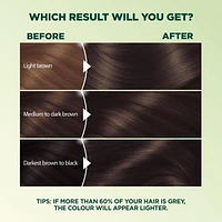 Garnier Nutrisse Ultra Crème, Permanent Hair Dye, Long-Lasting,1 unit