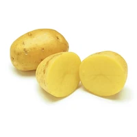Your Fresh Market Organic Potatoes
