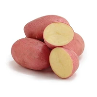 Pommes de terre rouges biologiques Mon marché fraîcheur 3 lb / 1,36 kg