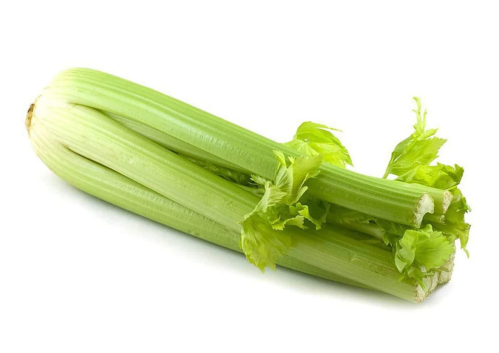 Celery, Organic, 1 bunch